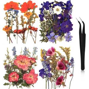 lot 93773 image: Nuanchu Pressed Flowers Bulk Dried Flower for Crafts, Dried Flower Leave Natural with Tweezer for Resin Mold Scrapbooking DIY (Gorgeous Style)
