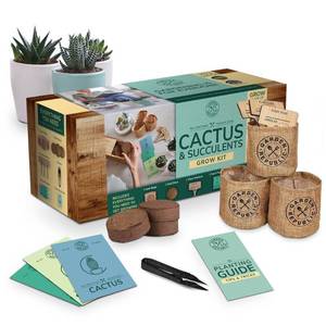 lot 71747 image: Garden Republic Cactus and Succulent Starter Kit