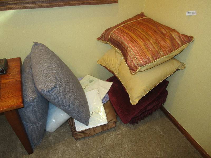 lot 1003 image: Lot of Pillows