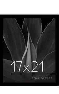 lot 32277 image: 17x21 Picture Frame with Polished Plexiglass - Epic Collection - Gallery Wall Frames with Engineered Wood - Wide Photo Frame for Wall Display - Black