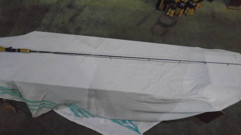 lot 4731 image: New Fishig Pole.