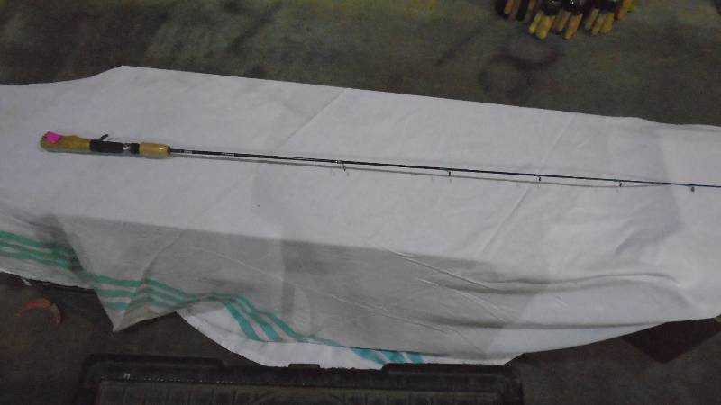 lot 4737 image: New Fishig Pole.