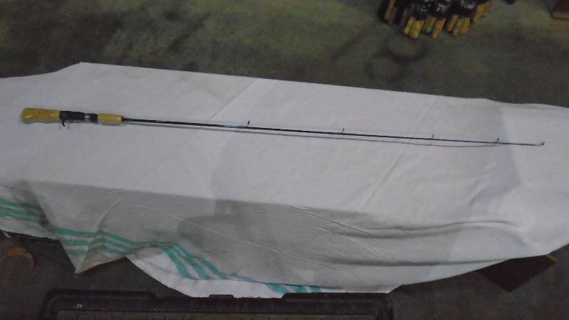 lot 4738 image: New Fishig Pole.