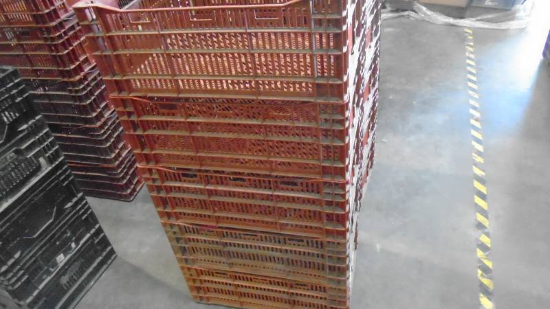 lot 4875 image: Stackable Plastic crates.