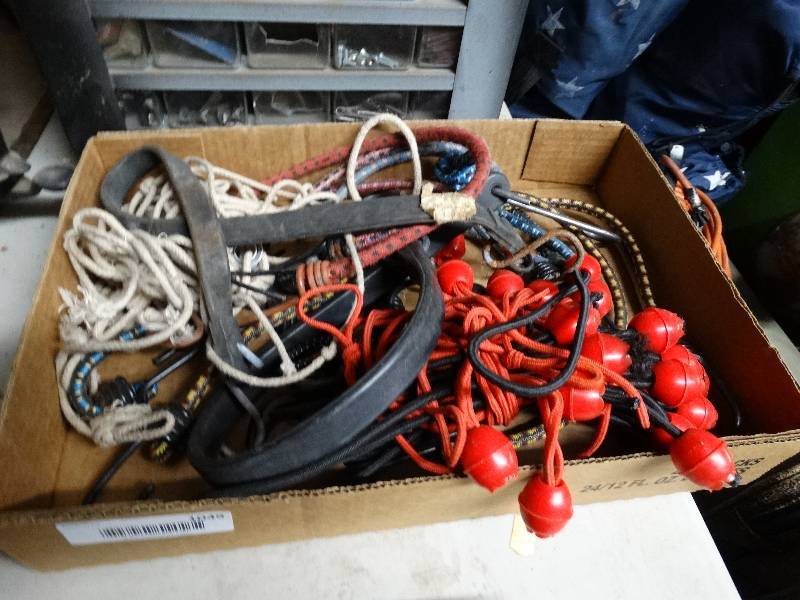 lot 1049 image: Lot of bungee cords.