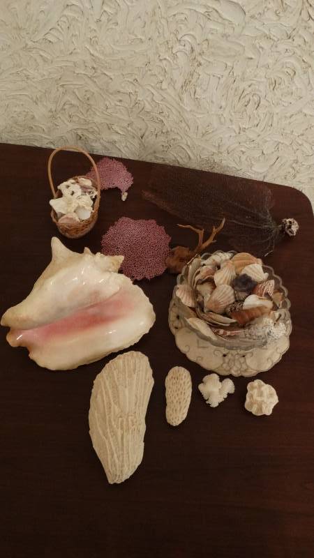 lot 163 image: Lot of various sea shells
