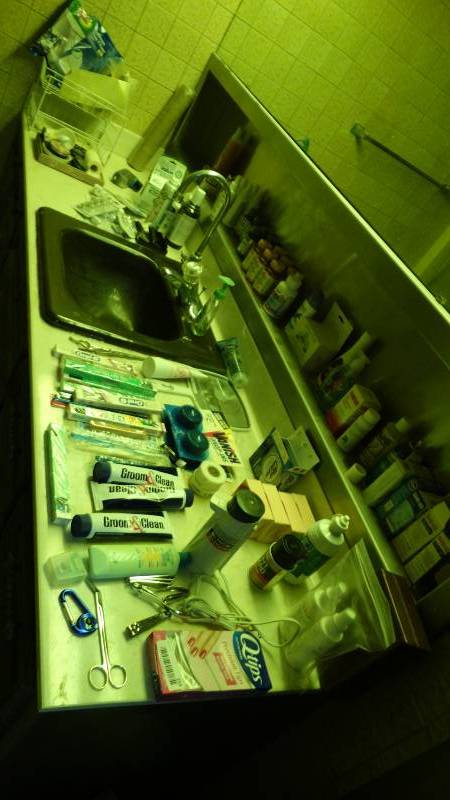 lot 253 image: Contents of master bathroom