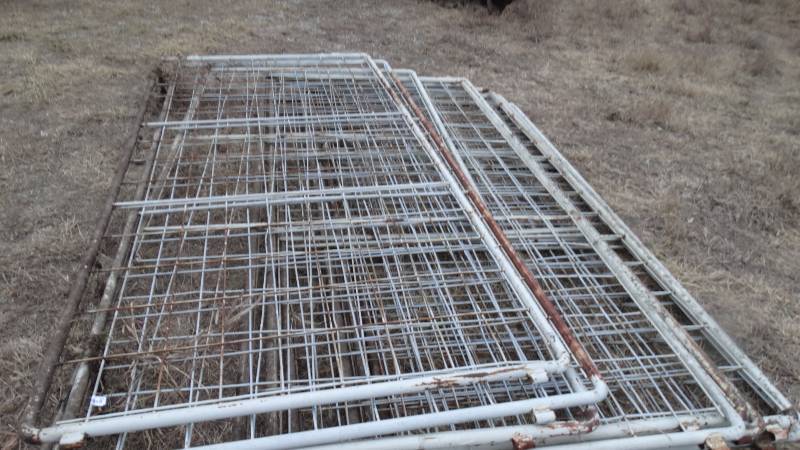 lot 423 image: 10 corral panels- 118 long x 55 tall