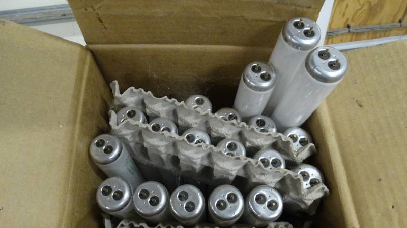 lot 482 image: Box of 4 ft light bulbs