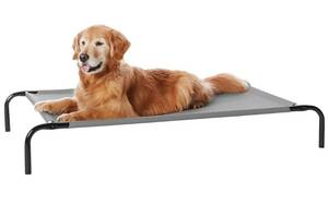 lot 15554 image: Amazon Basics Cooling Elevated Dog Bed with Metal Frame, Large, 51 x 31 x 8 Inch, Grey