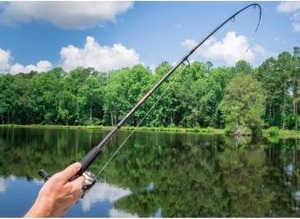 lot 15576 image: Ugly Stik GX2 Spinning Reel and Fishing Rod Combo