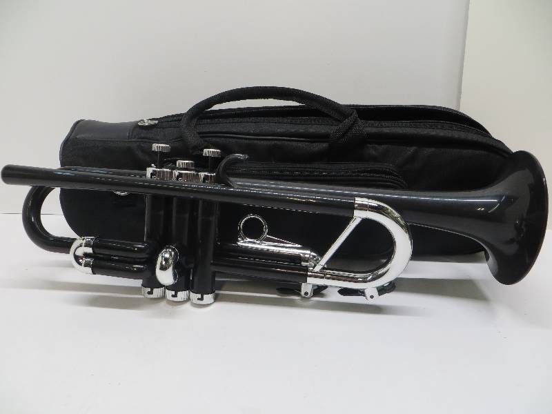 lot 1173 image: Allora black trumpets