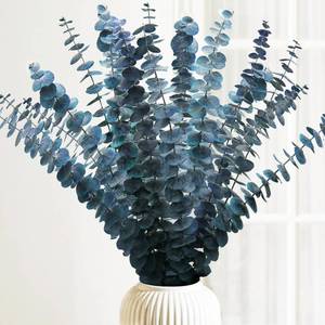 lot 1750 image: Preserved-Dried-Eucalyptus-Stems,17 Real Natural Eucalyptus Plant Live Fresh, Real Eucalyptus Branches Leaves for Shower, Blue Dried Flowers for Vase, Home Decor, Floral Arrangement, Wedding (16Pcs)