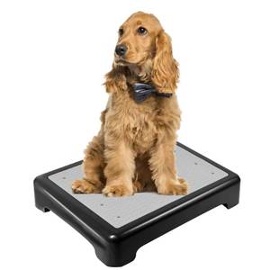 lot 31116 image: YEXEXINM Dog Training Place Board with Non-Skid Surface, Dog Platform for Training, Portable Dog Agility PlatformDog Training Stand, Dog Training Equipment Suitable for Small, Medium Dogs
