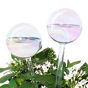 lot 31138 image: 2 PCS Light Iridescent Rainbow Gradient Color Clear Glass Self-Watering System Spikes, Automatic Plant Waterer Bulbs