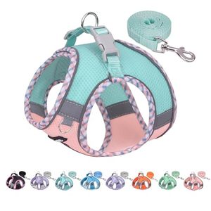 lot 52902 image: AIITLE Dog Harness No Choke Over - Step in Adjustable Dog Harnes with Breathable Mesh and Quick-Release Buckle - Outdoor Walking, Training for Medium Dogs Turquoise-Pink L