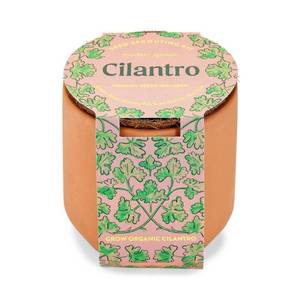 lot 52987 image: Modern Sprout Tiny Terracotta - Cilantro