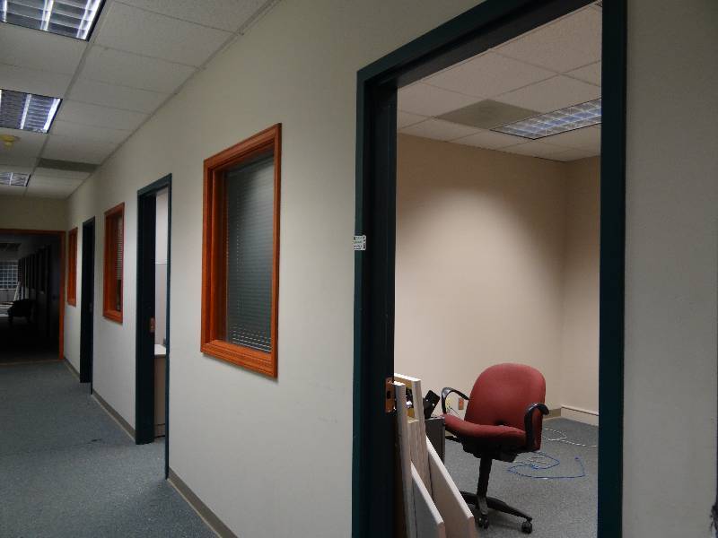 3 Light Finished Wooden Office Doors With Windows