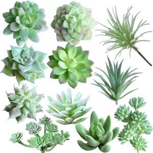 lot 1276 image: Supla 11 Pcs Mini Artificial Succulents Picks Unpotted Faux Succulent Assortment in Flocked Green in Different Type Different Size Succulents Echeveria Agave Floral Arrangement Retail $12.99