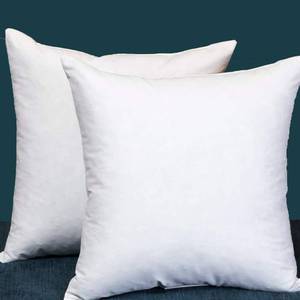 lot 12639 image: Set of 2, Square Decorative Throw Pillows Inserts Down and Feather Pillow Insert, Cotton Fabric, 22 X 22 Inches