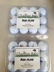 Top Flite New Mixed Golf Balls 2 Dozen Total