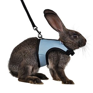 lot 16372 image: Niteangel Adjustable Soft Harness with Elastic Leash for Rabbits (M, Blue)