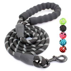 lot 16415 image: BAAPET 2456 FT Dog Leash with Comfortable Padded Handle and Highly Reflective Threads for Small Medium and Large Dogs (5FT-12, Black)