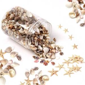 lot 16418 image: HAPY SHOP 1200 Pieces Tiny Sea Shells Small Natural Starfish Mixed Ocean Beach Spiral Seashells for Home Decorations,Wedding Decor,Candle Making,Beach Theme Party,DIY Crafts and Vase Filler