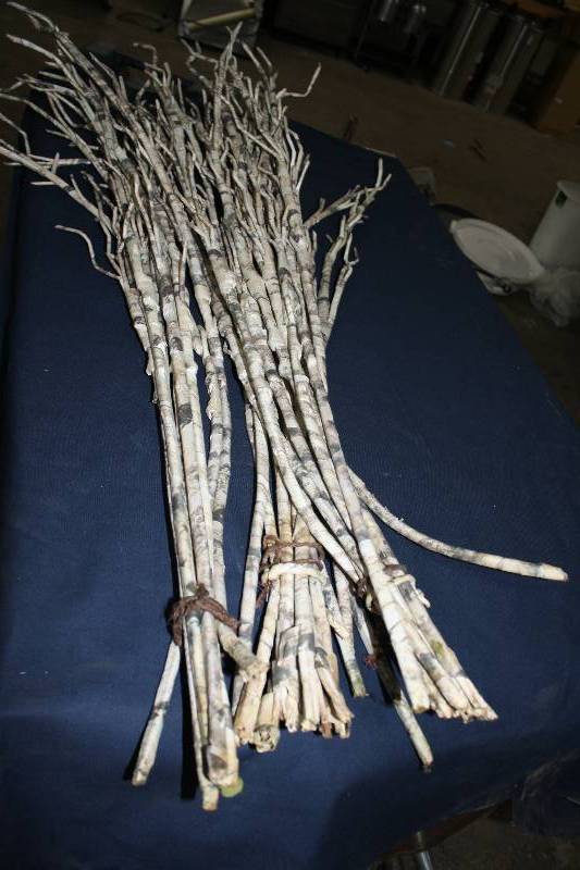 lot 3860 image: Aspen Branches Decorations