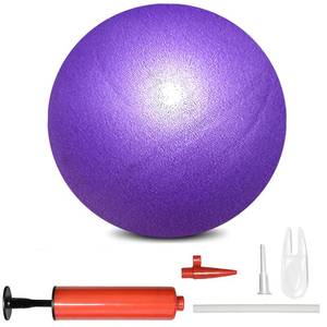 lot 1219 image: BAIMAN Mini Pilates Exercise Yoga Ball,Small Inflatable Exercise Pilates Ball,Core Training and Physical Therapy Equipment, Improves Balance for Home & Gym & Office with Pump(Purple,6 Inch) Retail $9.99