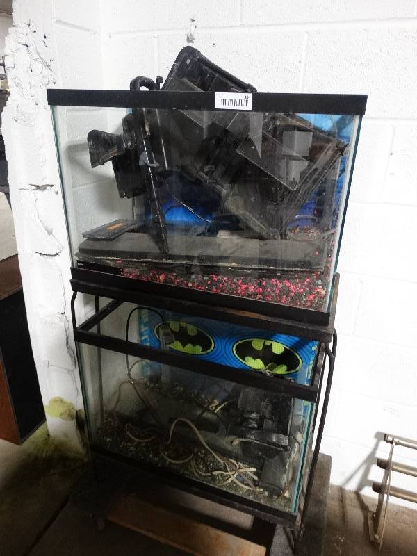 lot 384 image: 2- 20 gallon aquariums w stand & accessories