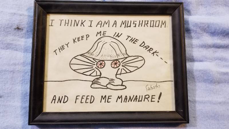 lot 3938 image: Mushroom Drawing Artist Sabato 13 x 10