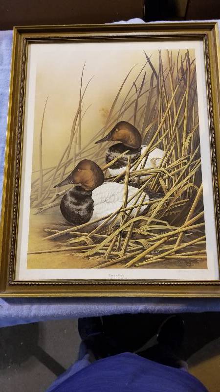 lot 3958 image: Canvasbacks Signed Lithograph By Pat Ford #1376 of 1500 22 x 28