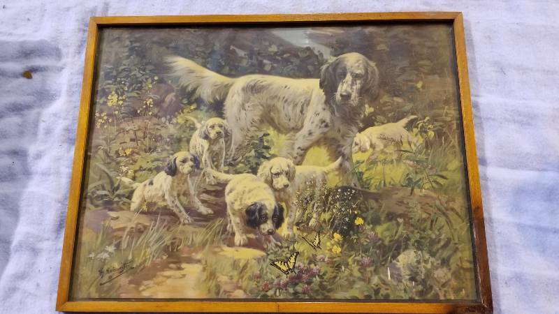 lot 3987 image: Dogs Print By Artist Hy Hintmrmeister 18 x 24