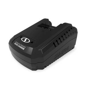 lot 21796 image: Snow Joe CERTIFIED AUTHENTIC 24VCHRG-DPC 24V IONMAX Dual Port Quick Charge Docking Station