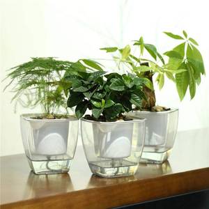 lot 21866 image: FENGZHITAO Self-Watering Planter, Clear Plastic Automatic-Watering Planter Flower Pot Square-Plant-Pot for All Plants, Succulents, Herb, African Violets, Flowers (3 Pack Medium)