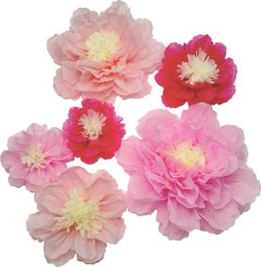 lot 22691 image: Mybbshower Pink Paper Flower 20-10 Assorted Tissue Paper Pom Pom Decorations for Birthday Wedding Party Backdrop Nursery Room Wall Decoration Pack of 6