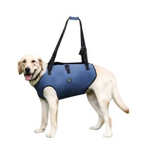 lot 22874 image: Coodeo Dog Lift Harness, Pet Support & Rehabilitation Sling Lift Adjustable Padded Breathable Straps for Old, Disabled, Joint Injuries, Arthritis, Loss of Stability Dogs Walk (Blue, L)