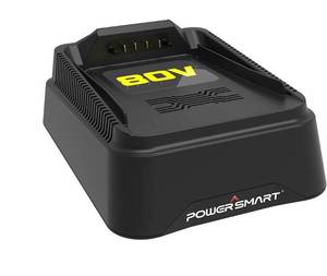 lot 29406 image: Powersmart 80V 6.0Ah Lithium-Ion Battery Charger, DB2208
