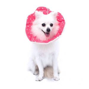 lot 61029 image: WZ PET Adjustable Dog Cat Cone,Soft Recovery Cat Cone Collar,Dog Protective Collar for Cats,Puppy and Small Dogs,Pink
