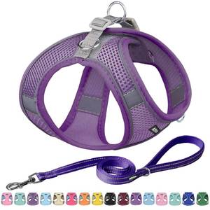 lot 61036 image: AIITLE Dog Harness, No-Pull Cat Harness with a Leash, Adjustable Reflective Dog Vest, Cat Harness Escape Proof, Outdoor Walking, Running,Training for Extra Small Dogs and House Cats Pure Purple XXXS