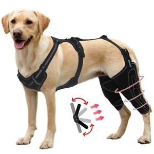 lot 61063 image: Dlevakve Dog Knee Brace for Torn Acl Hind Leg for Support with Cruciate Ligament Injury, Adjustable Better Recovery Dog Leg Braces for Back Both Leg for CCL Luxating Patella L - Retail $116.45