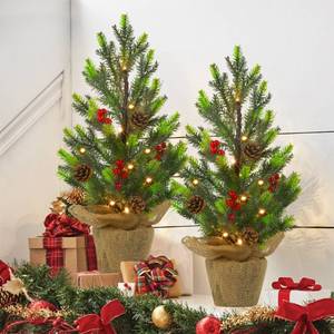 lot 3486 image: Juegoal 2 Pack Artificial Mini Christmas Trees, 24 Inch Lighted Tabletop Xmas Pine Tree with Lights, Small Light Up Battery Operated Spruce Tree with Burlap Base for Holiday Winter Home Party Decor