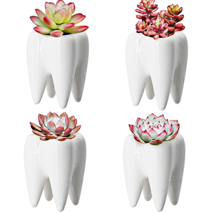 lot 49269 image: YOFIT Modern Style Teeth Pots Ceramic Flower Pot for Dental Gifts, White Succulent Cactus Bonsai Planter Container for Dental Office Decor, 3.7 Set of 4