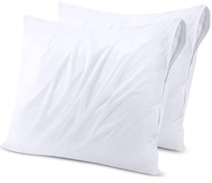 lot 2099 image: Utopia Bedding Waterproof Throw Pillow Protectors (No Pillow Inserts) with Zipper 18 x 18 Inches (2 Pack, White), Bed Bug Proof Outdoor Bed Couch Decorative Pillow Encasement Covers