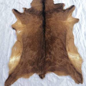 lot 8401 image: Red Deer Hide Rug Deer Skin Rug Deer Taxidermy Fireplace Deerskin Decor Reindeer Hide Area Rug Animals Mat Carpet for Home, Office, Bedroom Taxidermy Hunting Collectable 3.2x2.1ft
