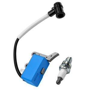 lot 44368 image: Ignition Coil with Spark Plug Replace