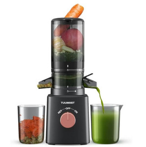 lot 44524 image: Juicer Machines, TUUMIIST Cold Press Juicer with 4.25 Large Feed Chute Fit Whole Vegetable And Fruit, Masticating Juicer Easy To Clean, Gun Grey