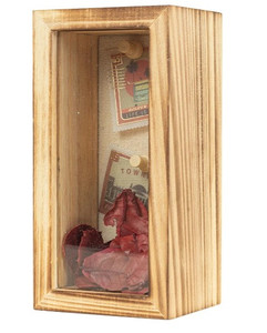lot 44603 image: Shadow Box Display Case