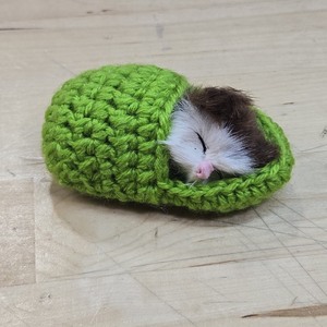 lot 6270327 image: 1 Pc Cute Kitten Sleeping in a Slipper Crochet Cute Figure Decor Gift